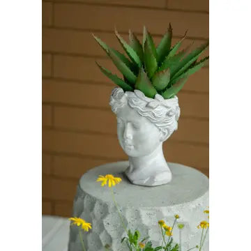 Medium Visage Cement Planter
