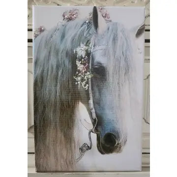 Canvas - White Pony Horse