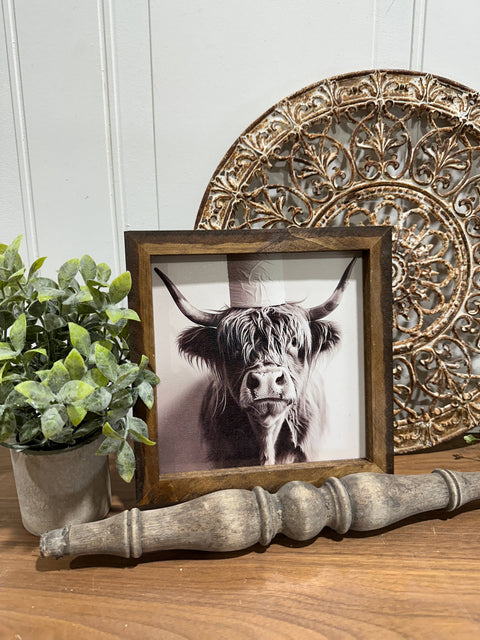 Framed Art - Highland Cow