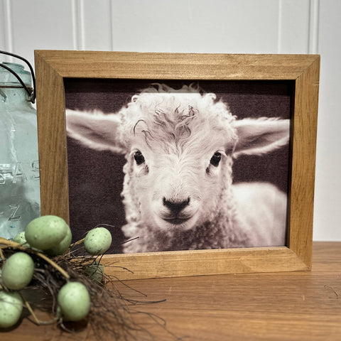 Wood Frame Art Print - Baby Lamb