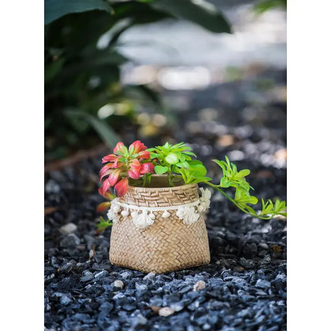Woven Basket Planter with Tassels