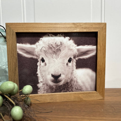 Wood Frame Art Print - Baby Lamb