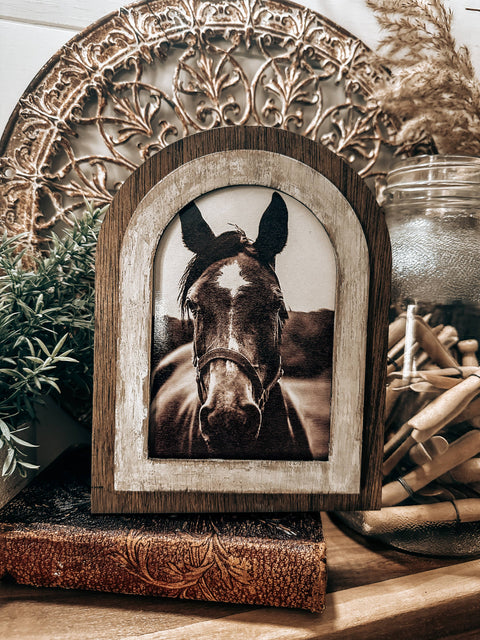 Arched Frame Black and White Horse Photo
