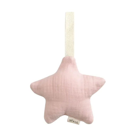 Star Pacifier Holder
