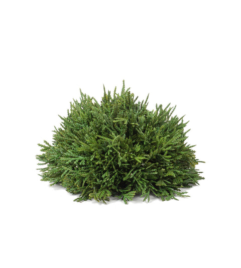 Artificial Cedar Half Sphere, Small