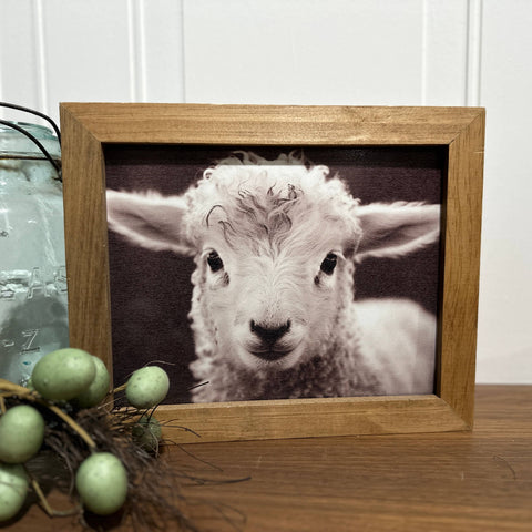 Wood Frame Art Print - Baby Lamb
