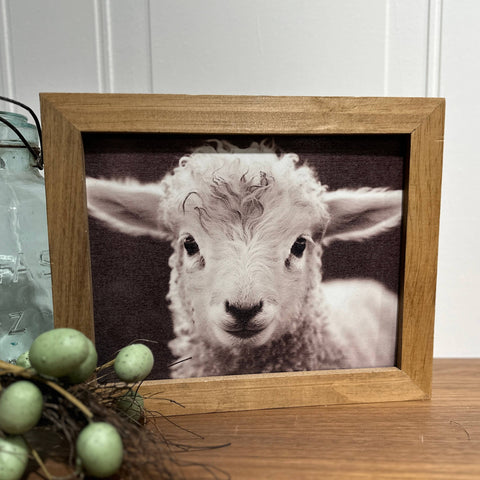 Wood Frame Art Print - Baby Lamb