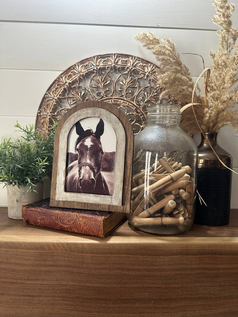 Arched Frame Black and White Horse Photo