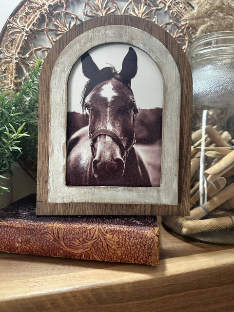 Arched Frame Black and White Horse Photo