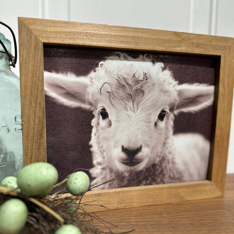Wood Frame Art Print - Baby Lamb