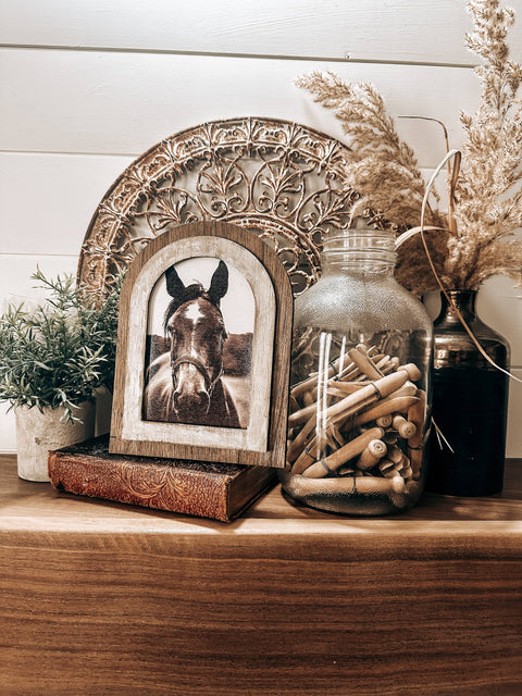 Arched Frame Black and White Horse Photo