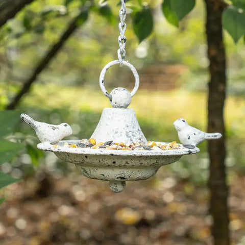 Duo Bird Feeder