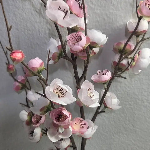 White & Pink Plum Blossom Branch Artificial Stem