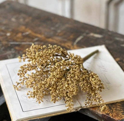 Bursting Astilbe Spray - Flaxseed