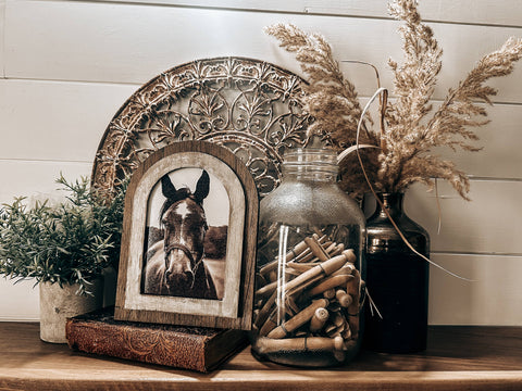 Arched Frame Black and White Horse Photo