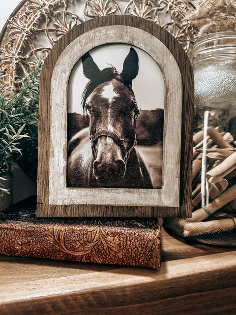 Arched Frame Black and White Horse Photo