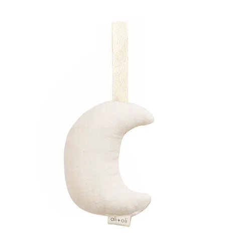 Moon Pacifier Holder