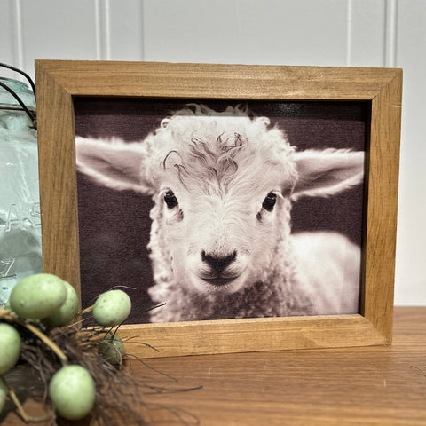 Wood Frame Art Print - Baby Lamb